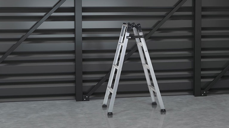 two-way-ladder-small